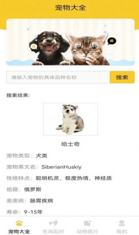 猫狗宠物大全