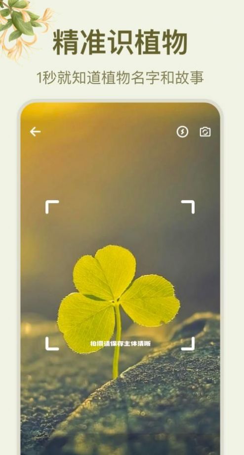 拍照识花大师